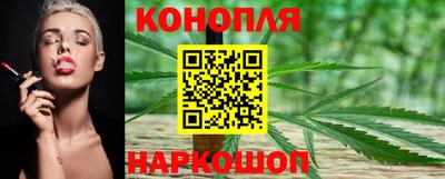 mdpv Новокубанск