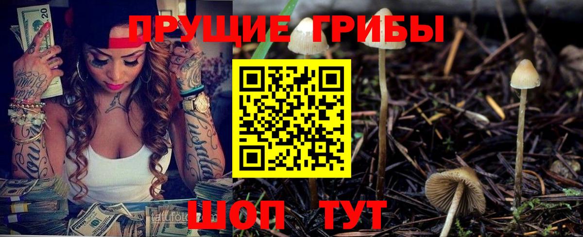 Псилоцибиновые грибы прущие грибы Тавда