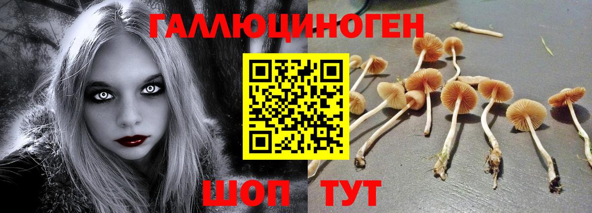 Псилоцибиновые грибы GOLDEN TEACHER  Вход с VPN  Тавда 