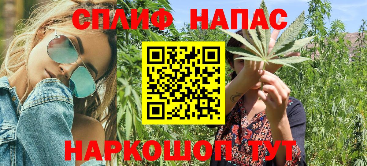 Тавда  Конопля семена  Вход с VPN  Бошки марихуана сатива  МАРИХУАНА Amnesia 